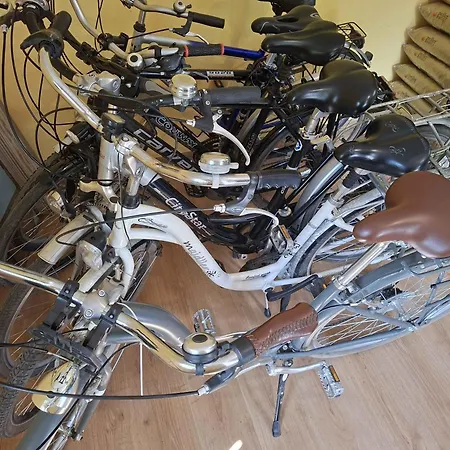 Debowy Zakatek W Dolinie Baryczy Gæstehus